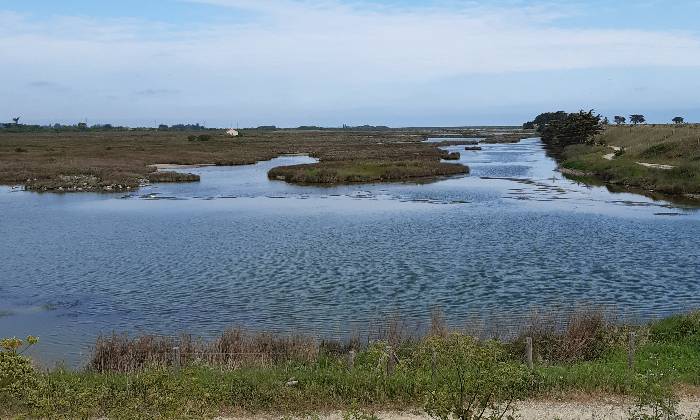 Puzzle IIe de Noirmoutier