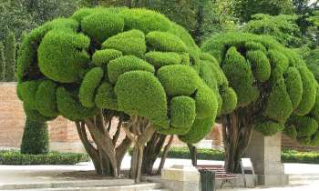 Puzzle 10142 - Parc Retiro Madrid