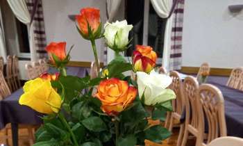 Puzzle 9965 - Bouquet de roses