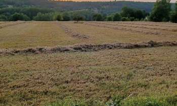 7933 | saison des foins - les foins en Périgord, le monde paysan