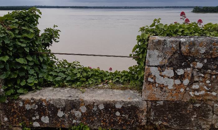 Puzzle Estuaire - Paysages & Fleurs - Absolu Puzzle