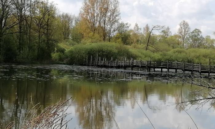 Puzzle marais