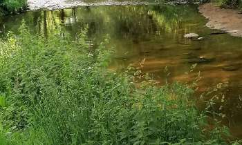 Puzzle 6966 - la belle nature