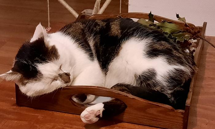 Puzzle LOKI
