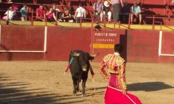 Puzzle 10927 - Corrida