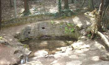 Puzzle 10931 - la Fontaine de Jouvence