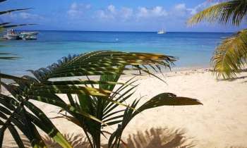 Puzzle 7459 - Plage de Guadeloupe