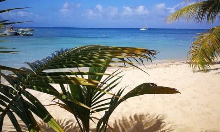 Puzzle Plage de Guadeloupe