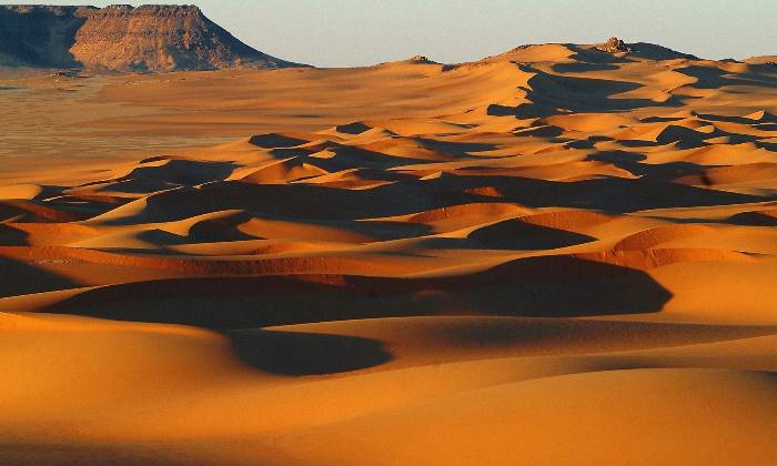 Puzzle Dune dans le desert