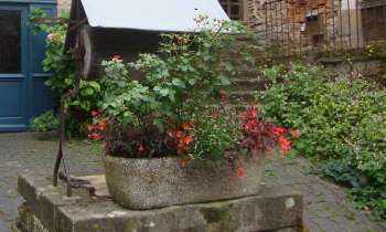Puzzle 7611 - Jardinière