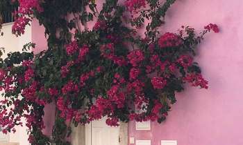 Puzzle 6840 - Lisbonne