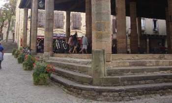 Puzzle 7173 - Halles
