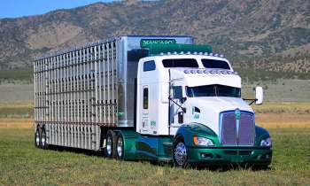 Puzzle 7579 - KENWORTH