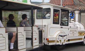 Puzzle 7084 - Petit train