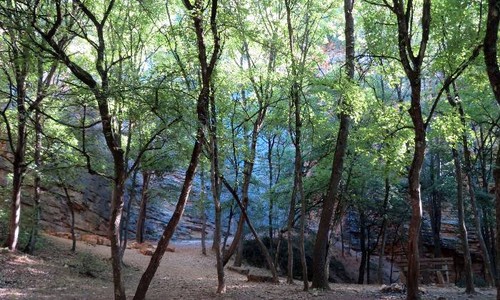 Puzzle Dans les Monts-d'Or