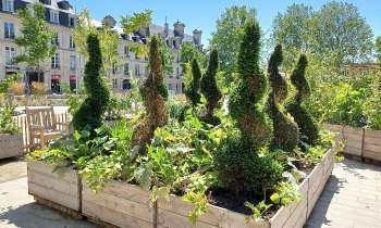 Puzzle 7282 - jardin décoratif
