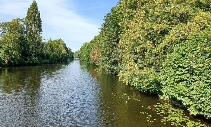 Puzzle Rivière