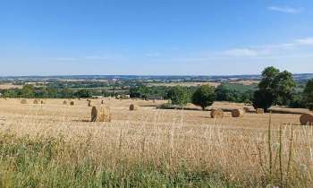 Puzzle 7308 - Paysage campagnard d'été