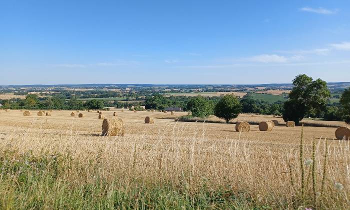 Puzzle Paysage campagnard d'été