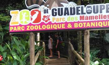 Puzzle 7267 - Zoo de Guadeloupe