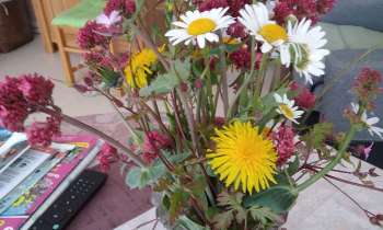 Puzzle 7976 - bouquet campagnard