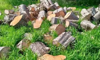 Puzzle 7108 - Tas de bois