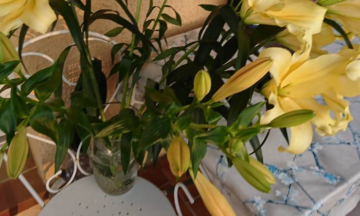 Puzzle Fleurs - Paysages & Fleurs - Absolu Puzzle