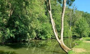 Puzzle 8818 - Au bord de l'eau
