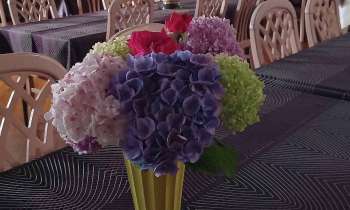 Puzzle 10244 - Bouquet de hortensias