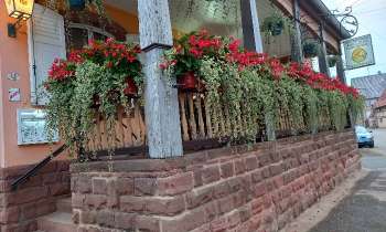 Puzzle 10659 - Terrasse en fleurs
