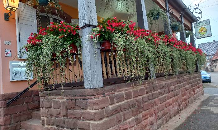 Puzzle Terrasse en fleurs
