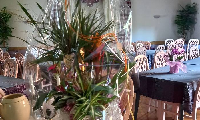 Puzzle Composition de plantes