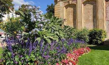 Puzzle 8842 - Parterre de fleurs