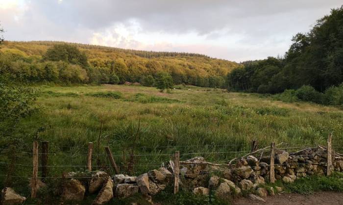 Puzzle prairie