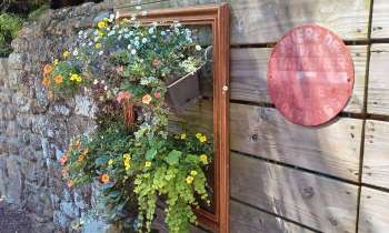 Puzzle 7651 - Tableau fleuri