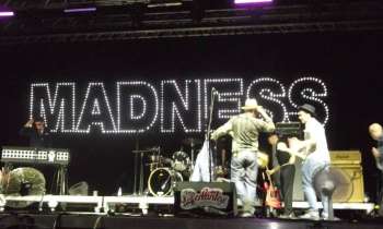 Puzzle 6930 - MADNESS