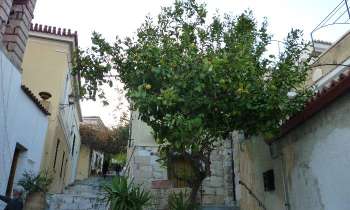 Puzzle 7364 - Ruelle d'Athènes