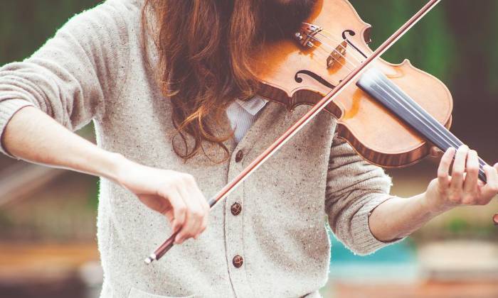 Puzzle Violoniste