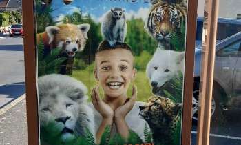 Puzzle 9087 - Affiche