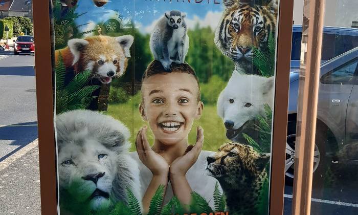 Puzzle Affiche