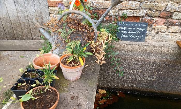Puzzle jardin