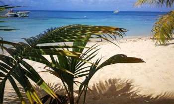 Puzzle 11133 - Guadeloupe