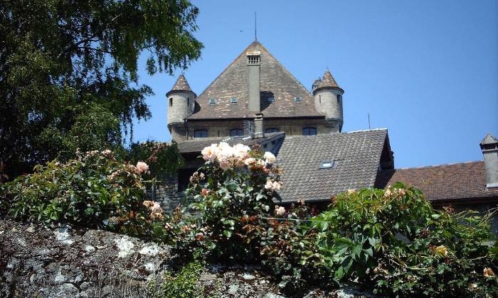 Puzzle donjon de château