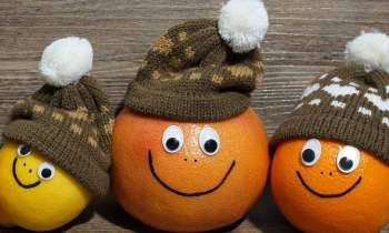 Puzzle 8020 - Oranges et citron