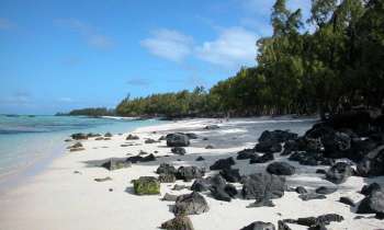 Puzzle 7031 - PLAGE