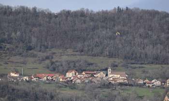 Puzzle 7397 - Village