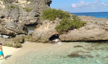 Puzzle 7472 - Crique de Guadeloupe