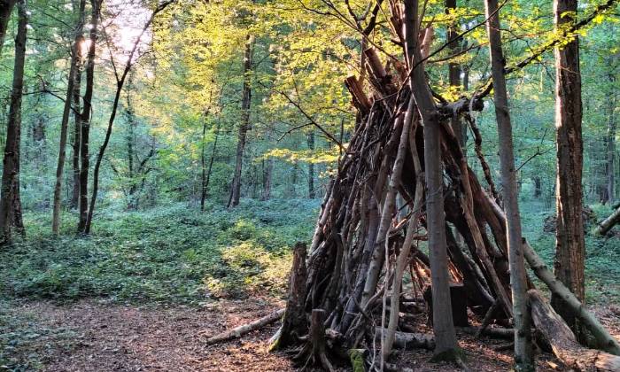 Puzzle Cabane improvisée