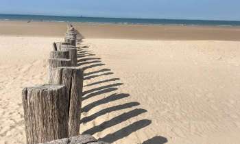 Puzzle 8345 - Plage