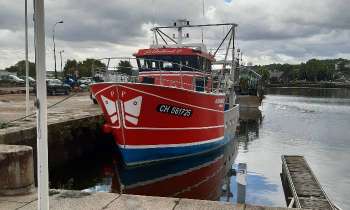 Puzzle 7248 - Bateau